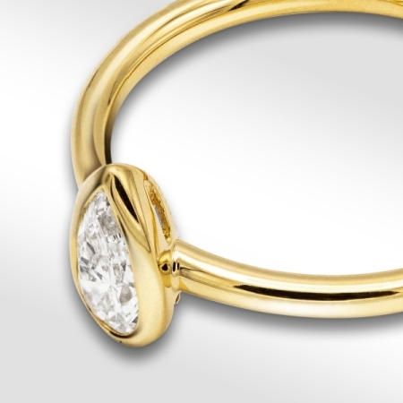 tetor 2024_0017_8826 w2