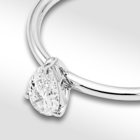 tetor 2024_0029_9014 2