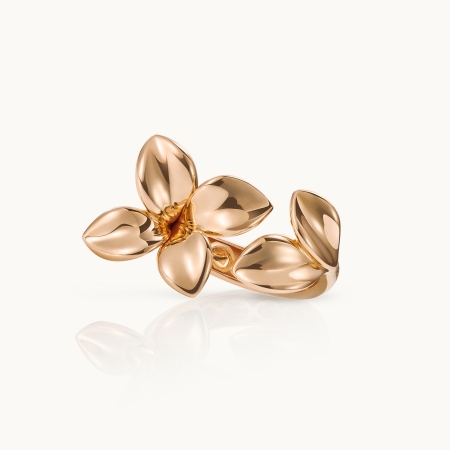 Women’s Ring Pasquale Bruni Giardini Segreti